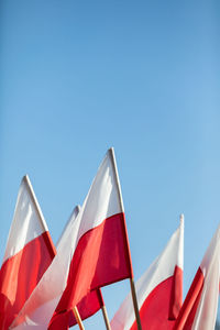 A group of red