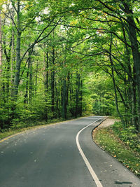 Road amidst trees in forest