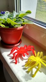 High angle view of potted plant on table