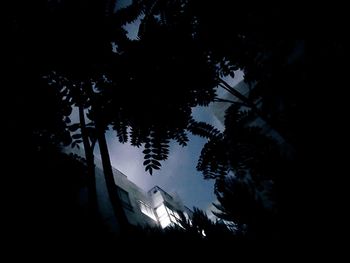 Low angle view of silhouette trees against sky at night