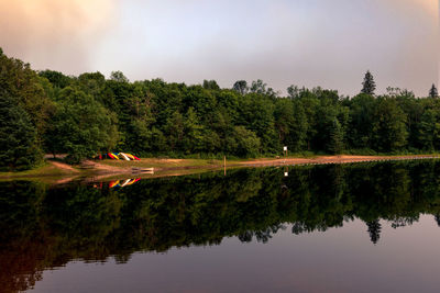 Scenic view of lake by trees against sky