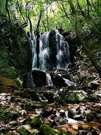 Scenic view of waterfall in forest