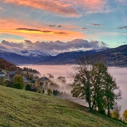 Scenic view of field against sky during sunset