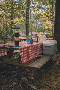 Man sitting on table in forest