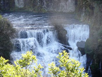 Scenic view of waterfall in forest