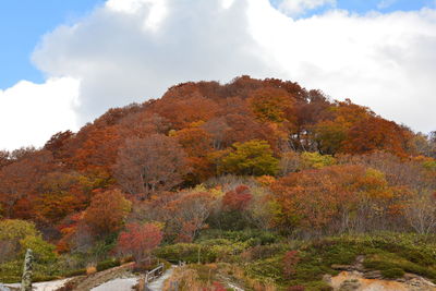 Scenic view of mountain against sky during autumn