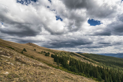 Landscape in the mount evans wilderness