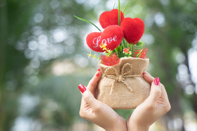 Close-up of woman holding red plant