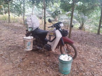 Man riding bicycle in forest