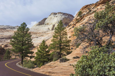 Scenic view of tree mountains against sky