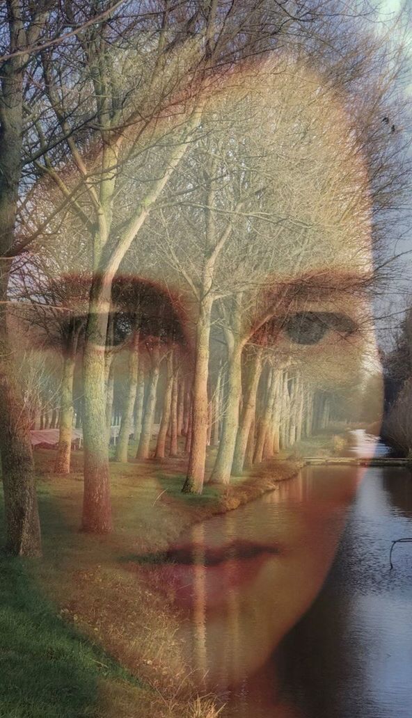 tree, plant, one person, reflection, digital composite, nature, multiple exposure, day, real people, portrait, auto post production filter, bare tree, outdoors, headshot, men, transparent, lifestyles, contemplation