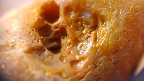 Close-up view of bread