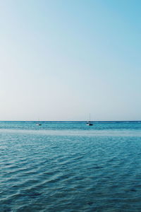 Sailboat sailing in sea against clear sky