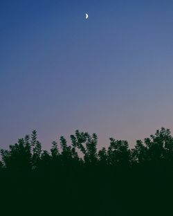 Low angle view of silhouette trees against clear sky at dusk