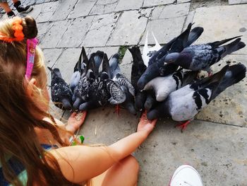 High angle view of woman feeding bird