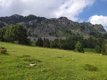 Scenic view of landscape against sky