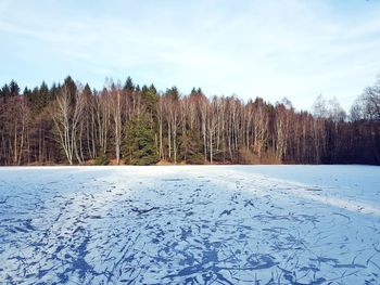 Frozen trees on landscape against sky