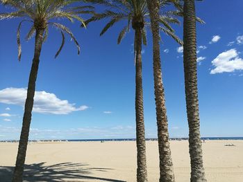 Scenic view of beach against blue sky
