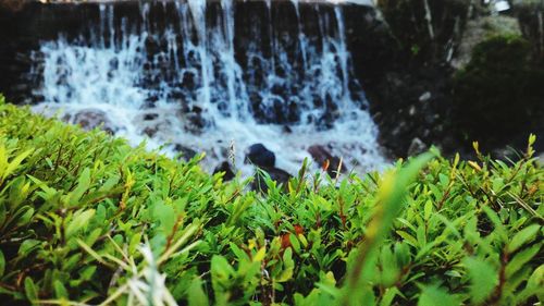 River flowing through rocks