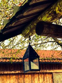 Low angle view of tree