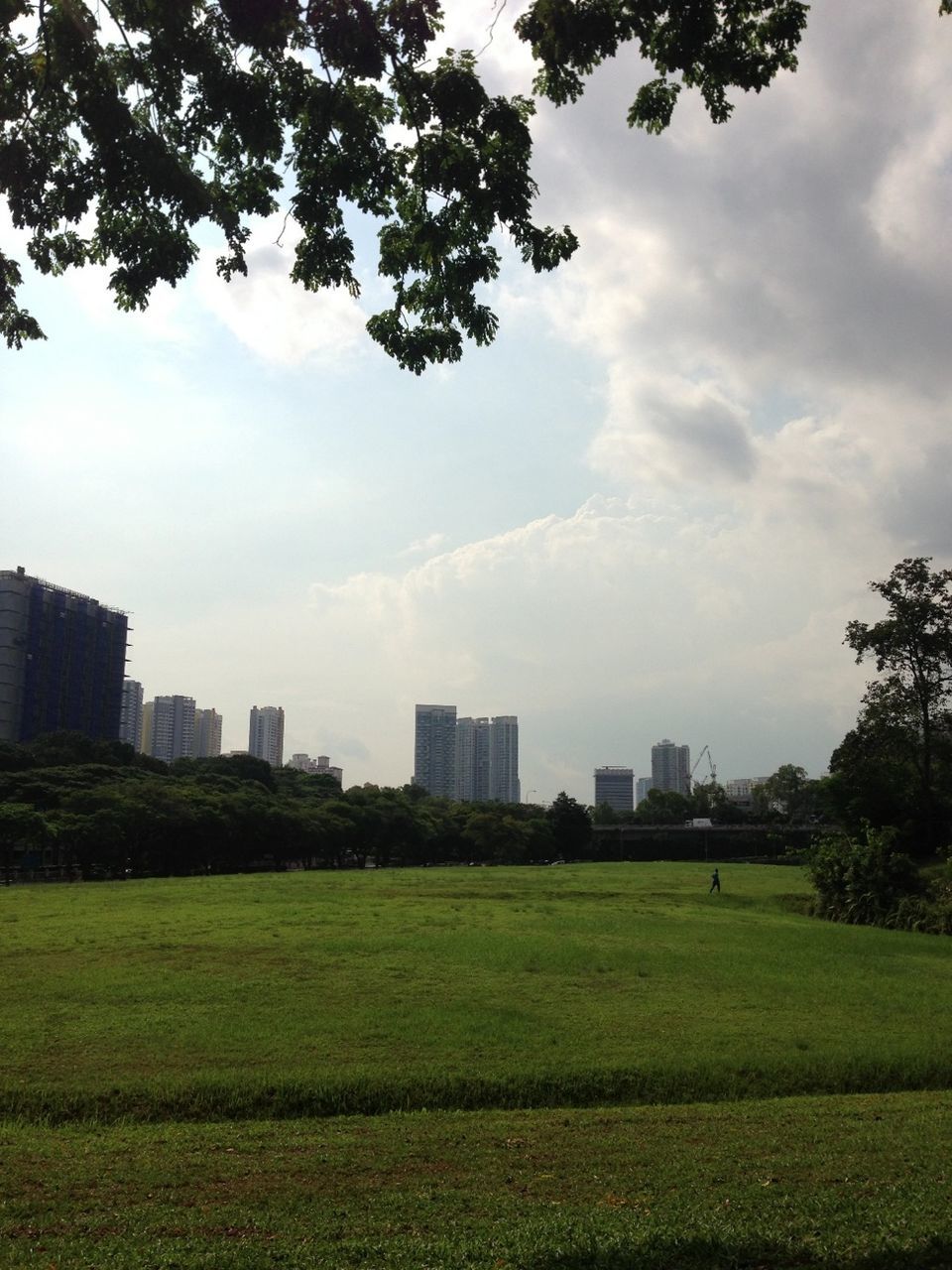 building exterior, architecture, grass, built structure, sky, tree, city, skyscraper, cloud - sky, green color, lawn, growth, cloud, cityscape, urban skyline, park - man made space, field, cloudy, grassy, skyline