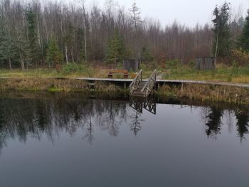 Scenic view of lake in forest against sky