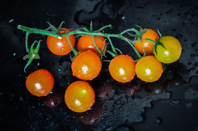 High angle view of orange fruits in water