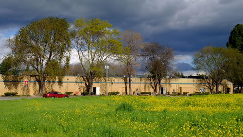 Scenic view of grassy field against cloudy sky