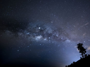 Low angle view of silhouette trees against star field at night