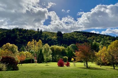 Trees on field against sky during autumn