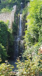 Scenic view of waterfall in forest