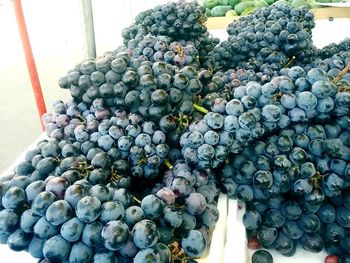 Close-up of grapes for sale