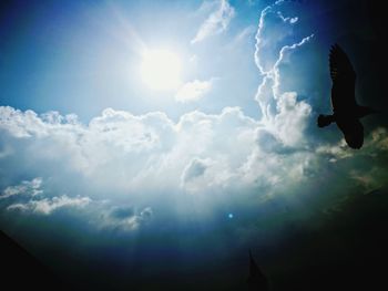 Low angle view of silhouette bird flying in sky