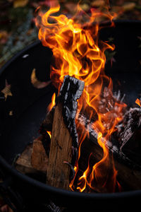 Close-up of campfire