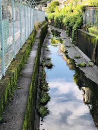 Scenic view of canal amidst trees