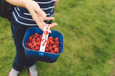 One woman holding a basket with ripe raspberries