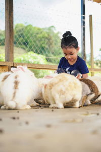 Girl with rabbits in pen