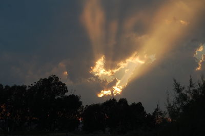 Silhouette trees against sky at sunset