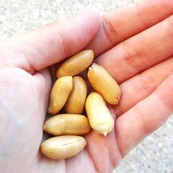 Close-up of cropped hand holding apple