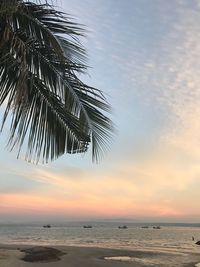 Scenic view of beach against sky during sunset