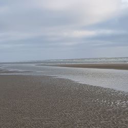 Scenic view of beach against sky