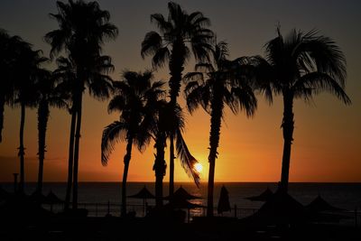 Silhouette palm trees on beach against sky during sunset