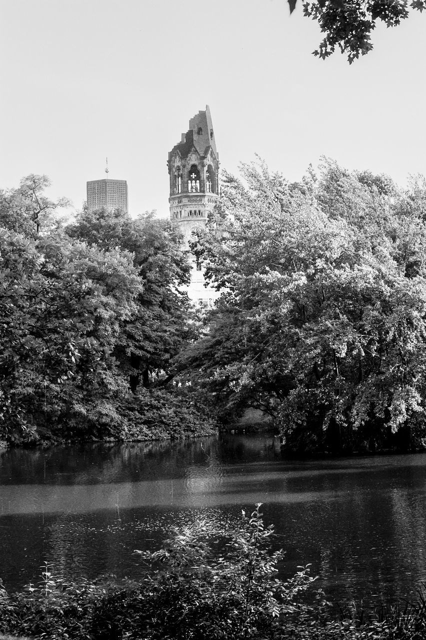 VIEW OF TREES AT WATERFRONT