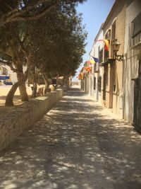 Empty alley amidst buildings in city