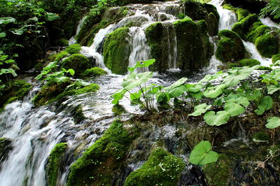 Scenic view of waterfall