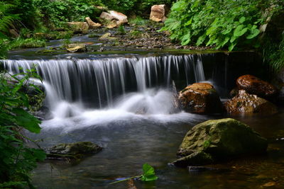 Scenic view of waterfall in forest