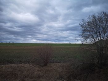 Scenic view of field against cloudy sky