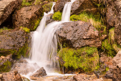 Scenic view of waterfall in forest