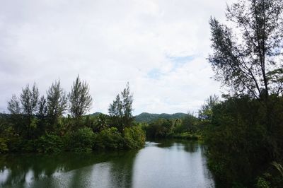 Scenic view of river in forest against sky