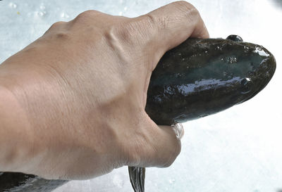 Close-up of hand holding ice cream